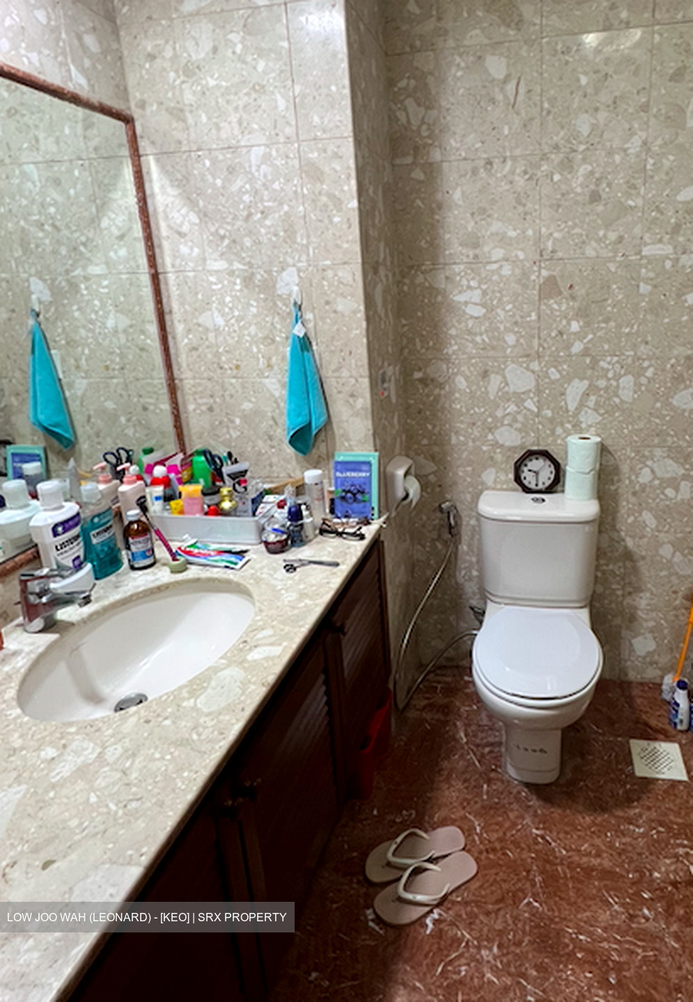 The Blossomvale (D21), Condominium #616535521
